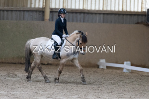 ZH1 hobby (1373).JPG