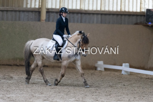 ZH1 hobby (1374).JPG