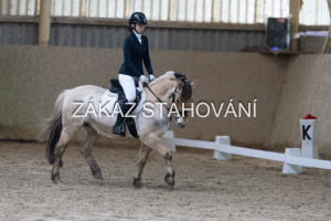 ZH1 hobby (1375).JPG