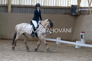 ZH1 hobby (1376).JPG