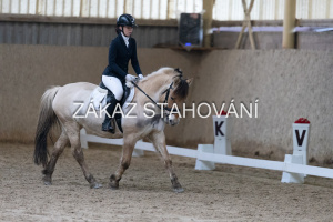 ZH1 hobby (1377).JPG