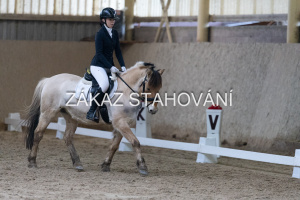 ZH1 hobby (1378).JPG