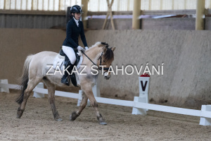 ZH1 hobby (1379).JPG