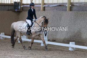 ZH1 hobby (1380).JPG