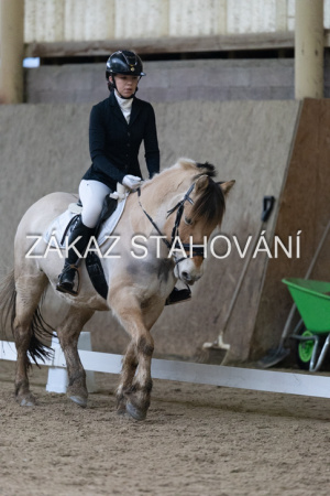 ZH1 hobby (1381).JPG