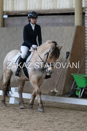 ZH1 hobby (1382).JPG