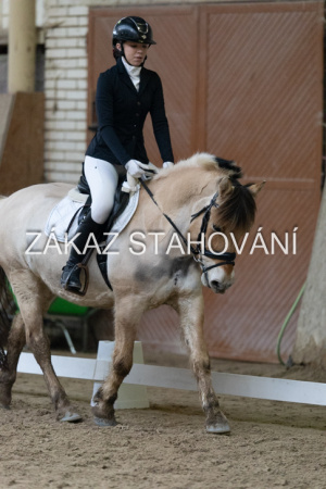 ZH1 hobby (1383).JPG