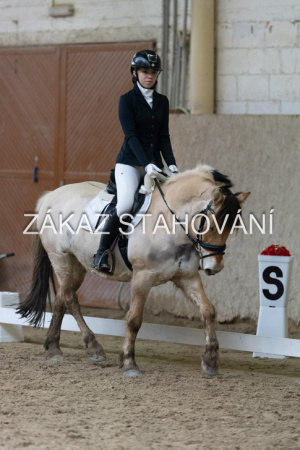 ZH1 hobby (1384).JPG