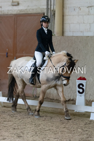 ZH1 hobby (1385).JPG