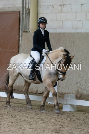 ZH1 hobby (1386).JPG