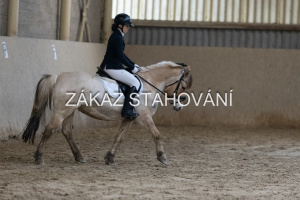 ZH1 hobby (1387).JPG