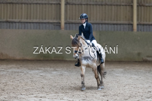 ZH1 hobby (1388).JPG