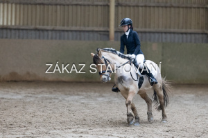 ZH1 hobby (1389).JPG