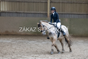 ZH1 hobby (1390).JPG