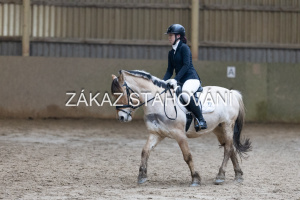 ZH1 hobby (1391).JPG