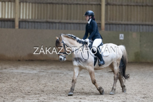 ZH1 hobby (1392).JPG