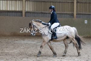 ZH1 hobby (1393).JPG