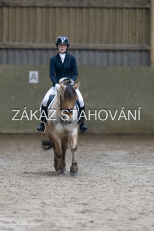 ZH1 hobby (1394).JPG