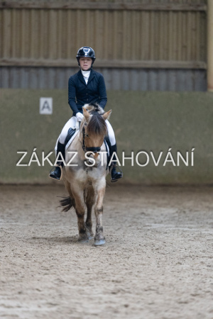 ZH1 hobby (1395).JPG