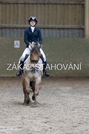 ZH1 hobby (1396).JPG