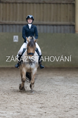 ZH1 hobby (1397).JPG