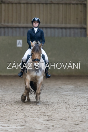 ZH1 hobby (1398).JPG