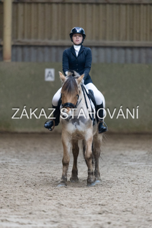 ZH1 hobby (1399).JPG