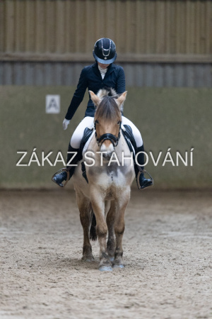 ZH1 hobby (1400).JPG