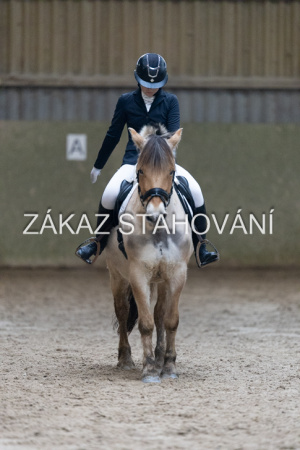 ZH1 hobby (1401).JPG