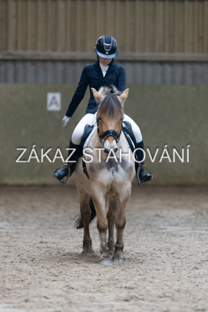 ZH1 hobby (1402).JPG