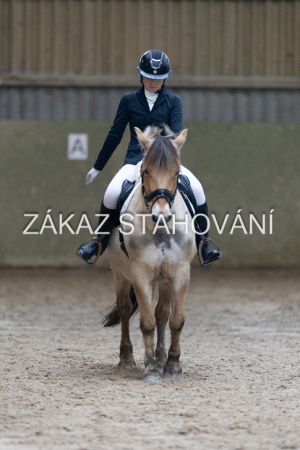 ZH1 hobby (1403).JPG