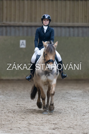 ZH1 hobby (1405).JPG