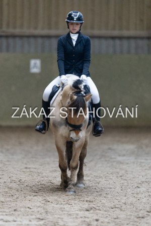 ZH1 hobby (1406).JPG