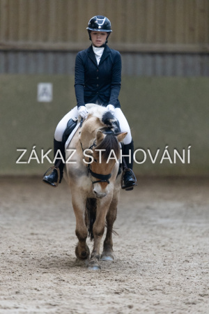 ZH1 hobby (1407).JPG