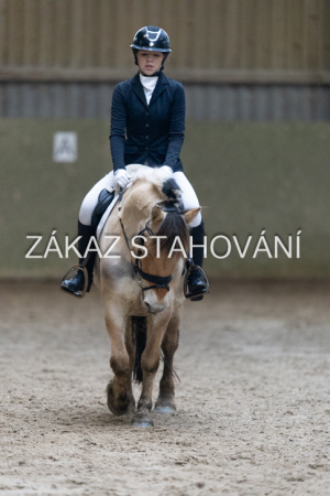 ZH1 hobby (1408).JPG