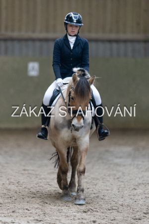 ZH1 hobby (1409).JPG