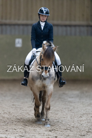 ZH1 hobby (1410).JPG