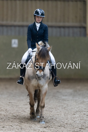 ZH1 hobby (1411).JPG