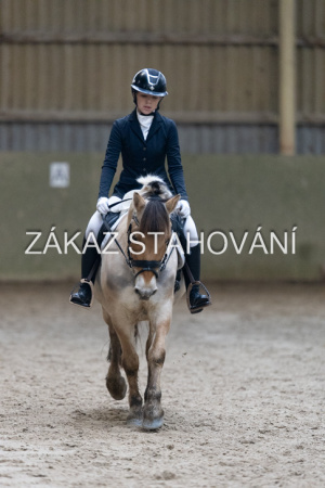 ZH1 hobby (1412).JPG