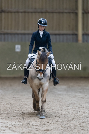 ZH1 hobby (1413).JPG