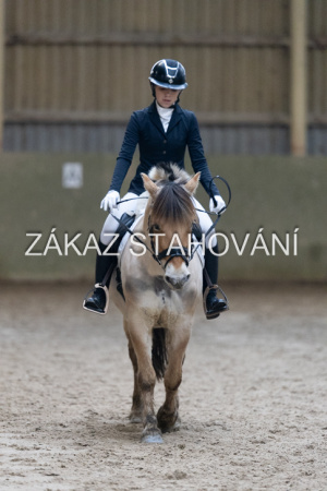 ZH1 hobby (1414).JPG