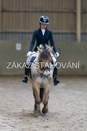 ZH1 hobby (1415).JPG