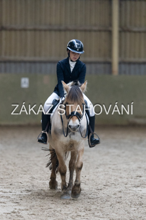 ZH1 hobby (1416).JPG