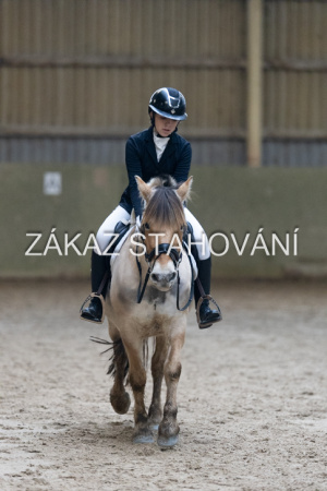 ZH1 hobby (1417).JPG