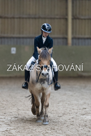 ZH1 hobby (1418).JPG