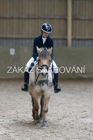 ZH1 hobby (1419).JPG