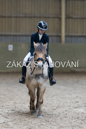 ZH1 hobby (1420).JPG