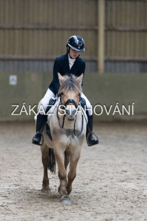 ZH1 hobby (1421).JPG