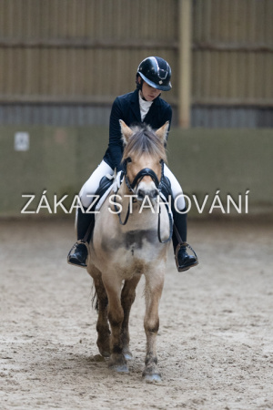 ZH1 hobby (1422).JPG