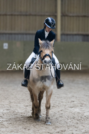 ZH1 hobby (1423).JPG